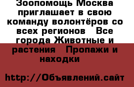Зоопомощь.Москва приглашает в свою команду волонтёров со всех регионов - Все города Животные и растения » Пропажи и находки   